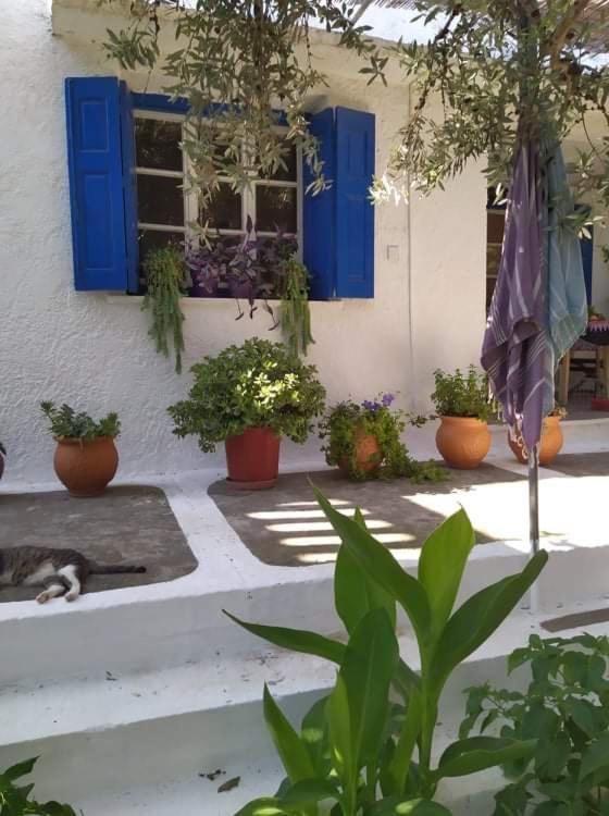 Stamoulis Apartments Kampos Marathokampou 外观 照片