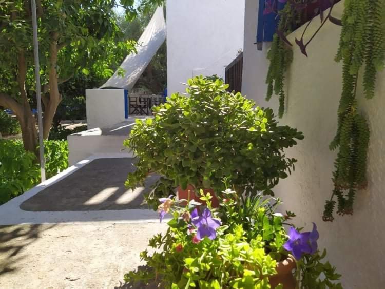 Stamoulis Apartments Kampos Marathokampou 外观 照片